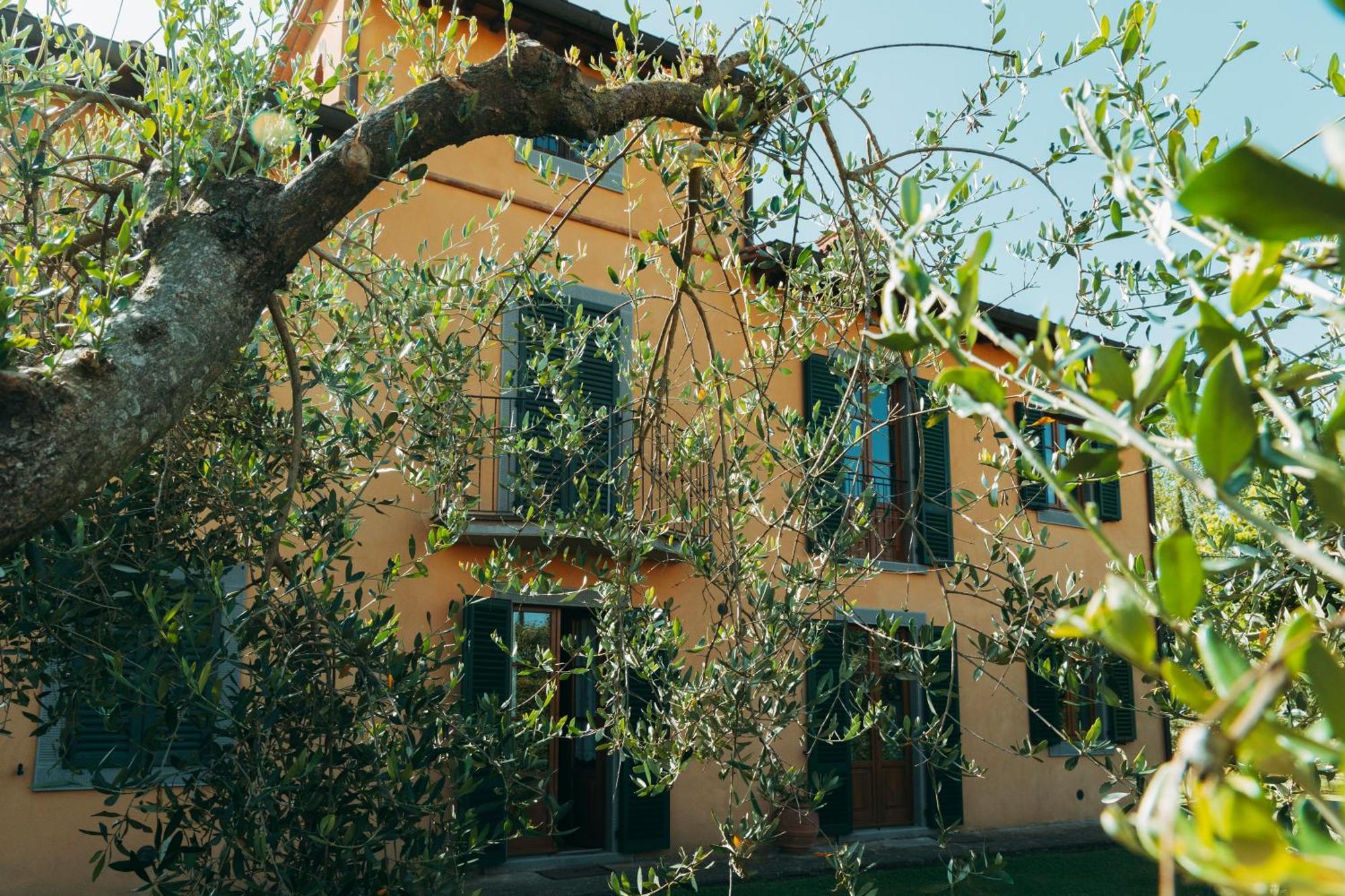 Agriturismo Il Borgo 코르토나 외부 사진